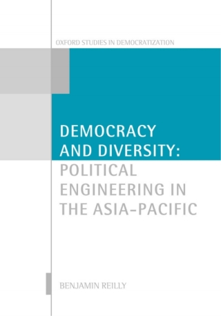 صورة الغلاف: Democracy and Diversity 9780199238705