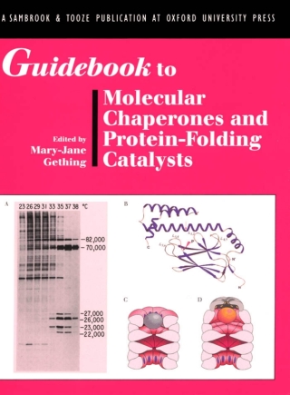 Imagen de portada: Guidebook to Molecular Chaperones and Protein-Folding Catalysts 1st edition 9780198599487