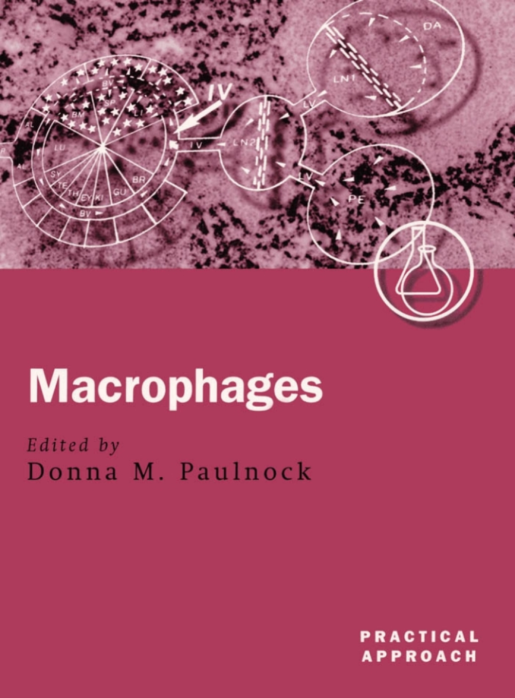 Macrophages Practical Approach Series 1st Edition