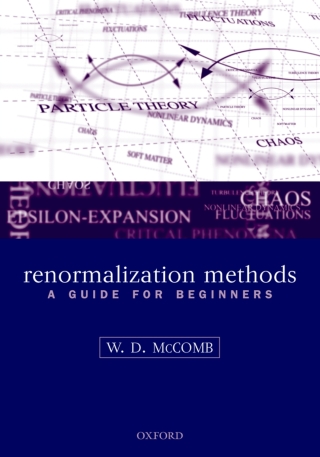 Imagen de portada: Renormalization Methods 9780198506942