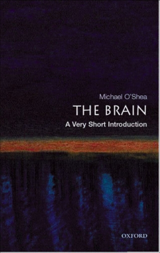 Cover image: The Brain 9780192853929