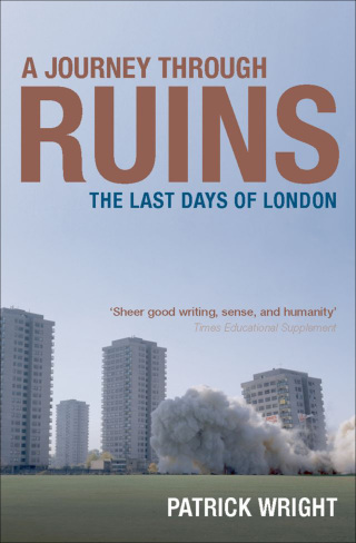 Imagen de portada: A Journey Through Ruins 9780199541942