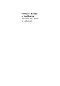 Imagen de portada: Molecular Biology of the Neuron 2nd edition 9780198509981