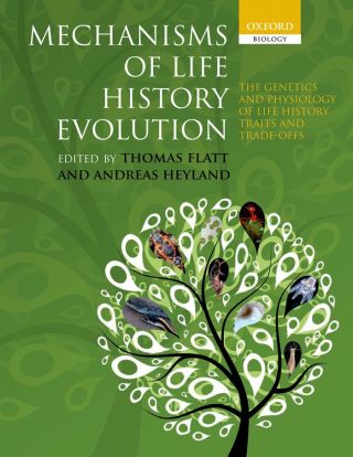 صورة الغلاف: Mechanisms of Life History Evolution 1st edition 9780199568765