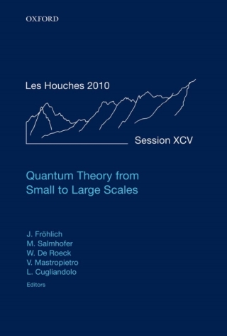صورة الغلاف: Quantum Theory from Small to Large Scales 1st edition 9780199652495
