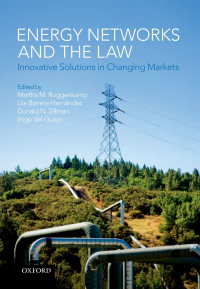 صورة الغلاف: Energy Networks and the Law 1st edition 9780199645039