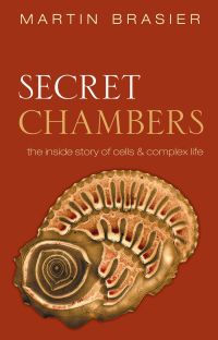 Imagen de portada: Secret Chambers 9780191633737