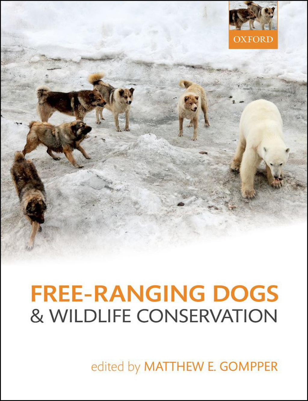 Free-Ranging Dogs and Wildlife Conservation 1st Edition