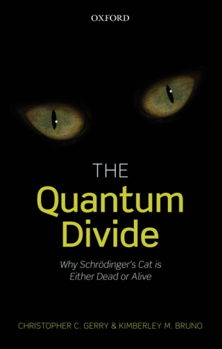 Immagine di copertina: The Quantum Divide 9780191644658