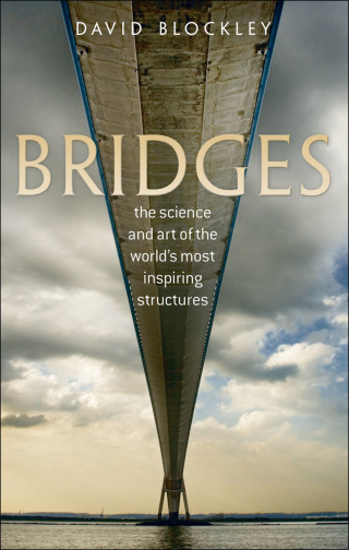Imagen de portada: Bridges 9780191572838