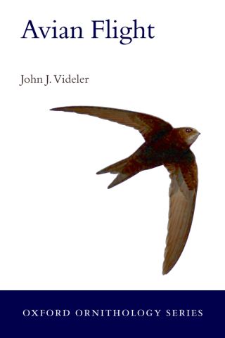 Omslagafbeelding: Avian Flight 9780199299928