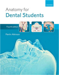 Immagine di copertina: Anatomy for Dental Students 4th edition 9780199234462
