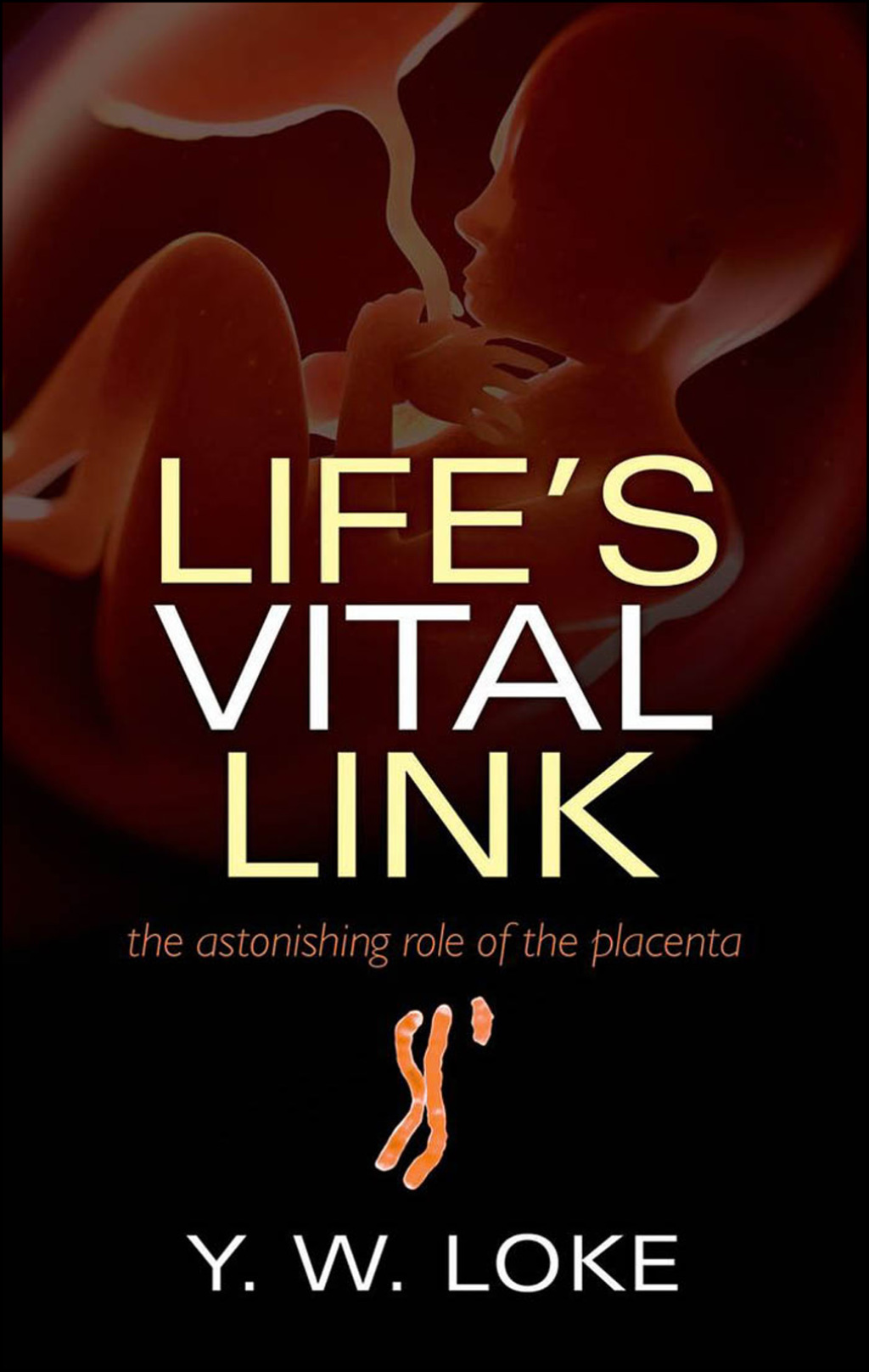 Life’s Vital Link The astonishing role of the placenta