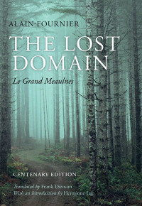 Cover image: The Lost Domain 9780199678686