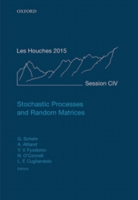 صورة الغلاف: Stochastic Processes and Random Matrices 1st edition 9780198797319
