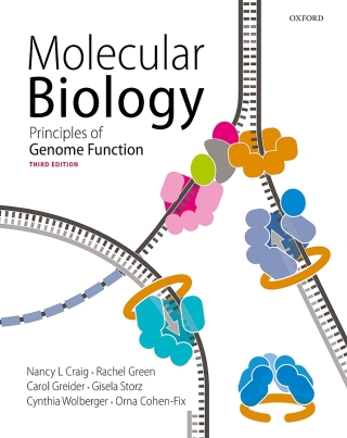 語学+参考書 Molecular Biology Amazon.com: Molecular Biology: 9780073525327: Weaver, Robert