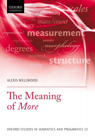 Imagen de portada: The Meaning of More 9780198804659