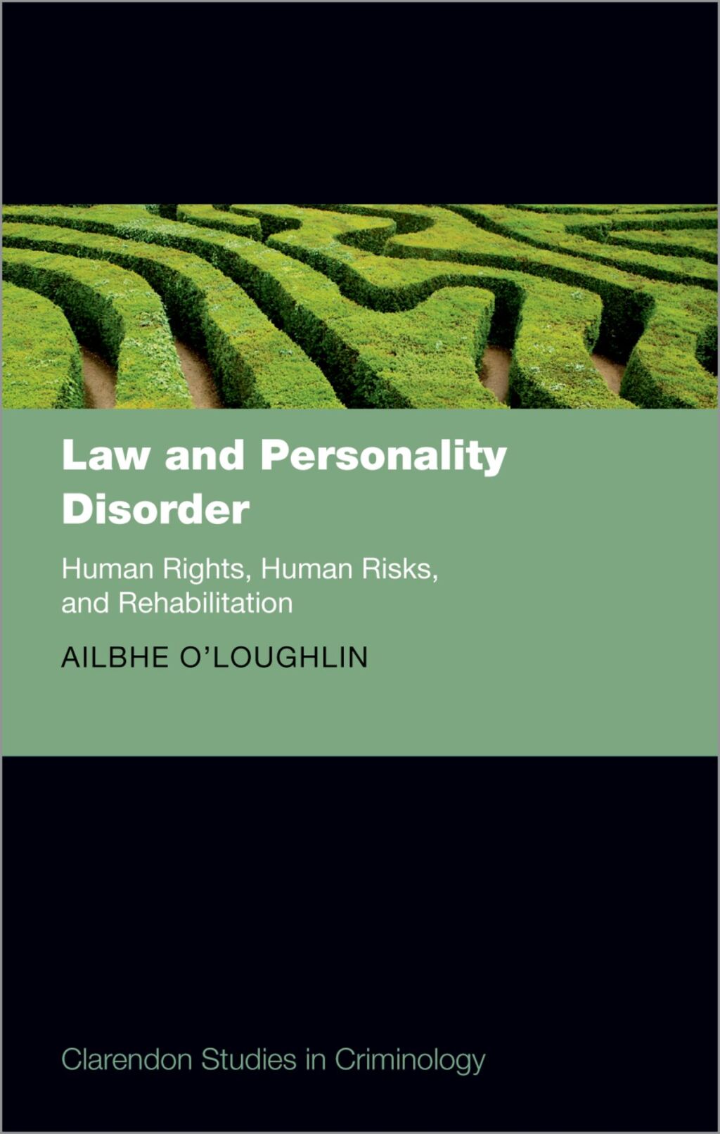 Law and Personality Disorder Human Rights, Human Risks, and Rehabilitation 1st Edition