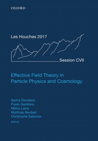 Imagen de portada: Effective Field Theory in Particle Physics and Cosmology 1st edition 9780198855743