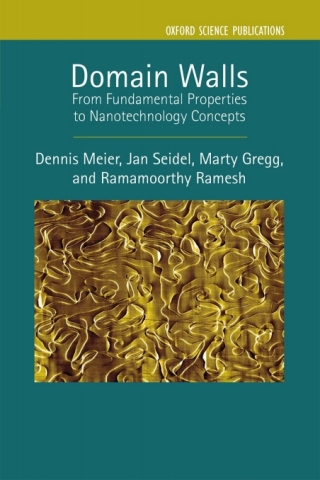 Cover image: Domain Walls 9780198862499