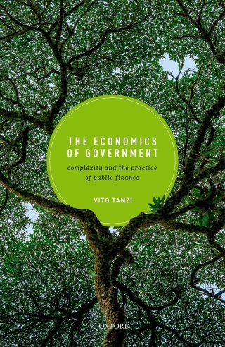 صورة الغلاف: The Economics of Government 9780192636324