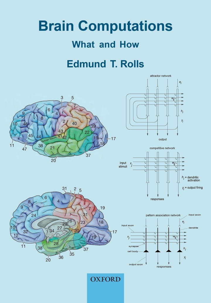 Cover image: Brain Computations