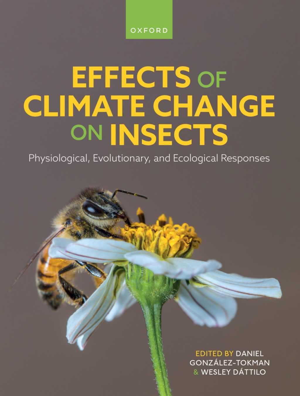 Effects of Climate Change on Insects Physiological, Evolutionary, and Ecological Responses 1st Edition