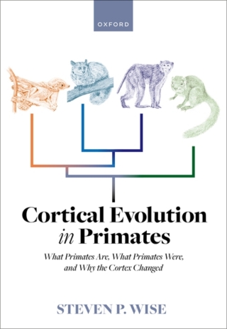 Cover image: Cortical Evolution in Primates 1st edition 9780192868398