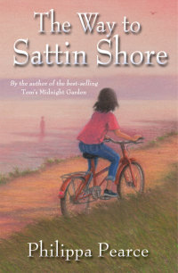 Cover image: The Way to Sattin Shore 9780192792402