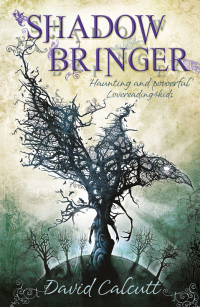 Cover image: Shadow Bringer 9780192729262