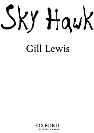 Cover image: Sky Hawk 9780192756244