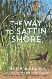 Cover image: The Way to Sattin Shore 9780192789464