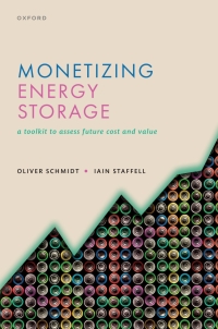 Immagine di copertina: Monetizing Energy Storage 1st edition 9780192888174