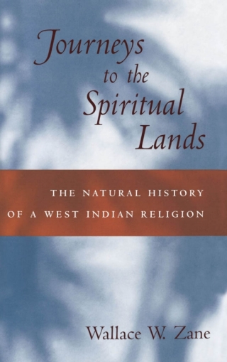 Imagen de portada: Journeys to the Spiritual Lands 9780195128451