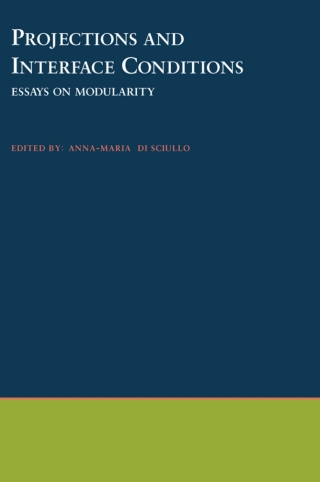 صورة الغلاف: Projections and Interface Conditions 1st edition 9780195104141