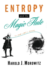 Imagen de portada: Entropy and the Magic Flute 9780195081992