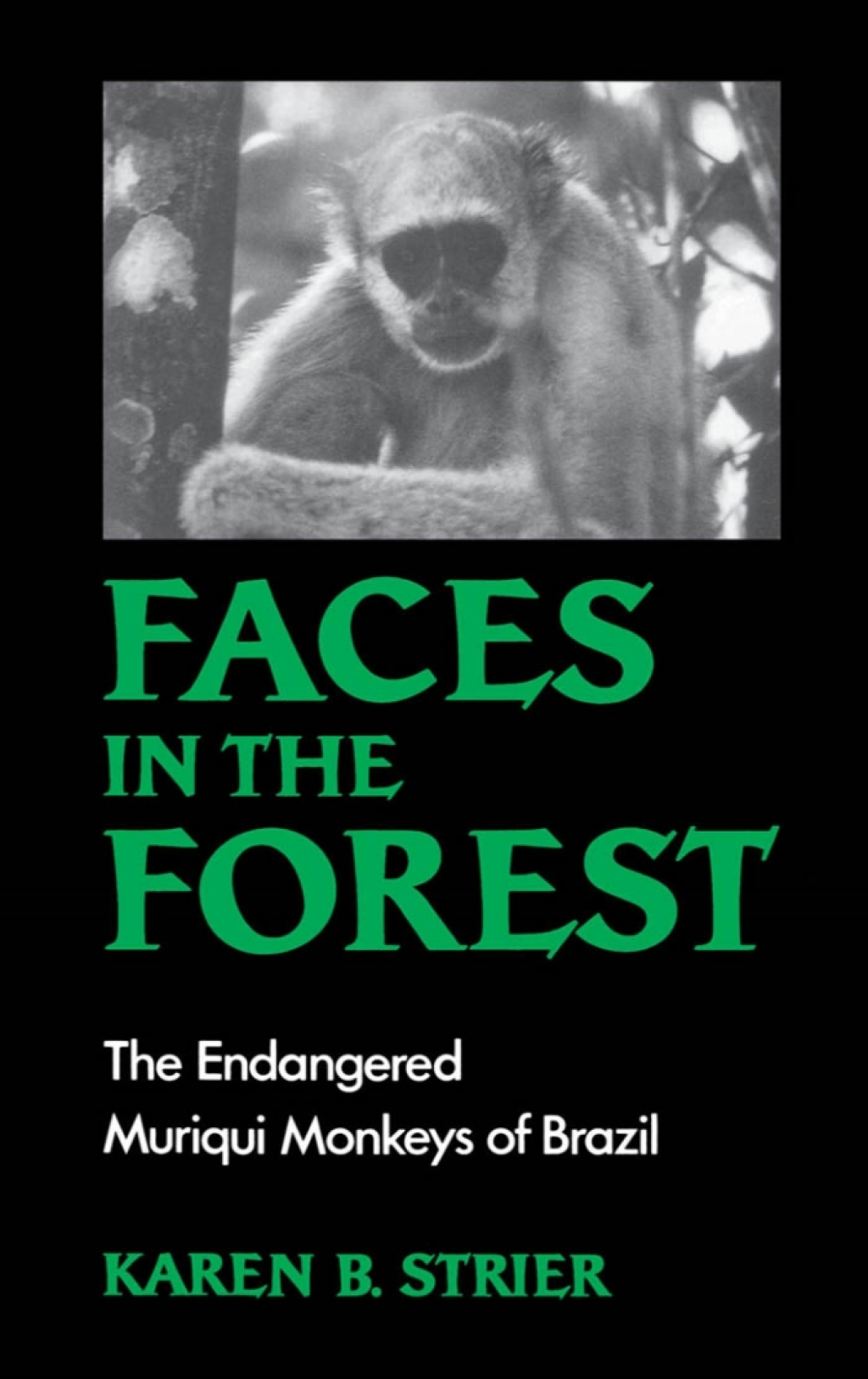 Faces in the Forest The Endangered Muriqui Monkeys of Brazil
