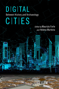 Immagine di copertina: Digital Cities 1st edition 9780190498900