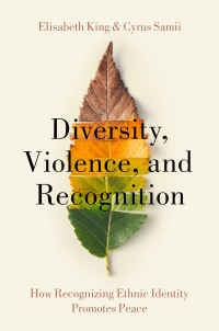 Cover image: Diversity, Violence, and Recognition 1st edition 9780197509463