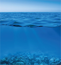 صورة الغلاف: Marine Biology 6th edition 9780197543504