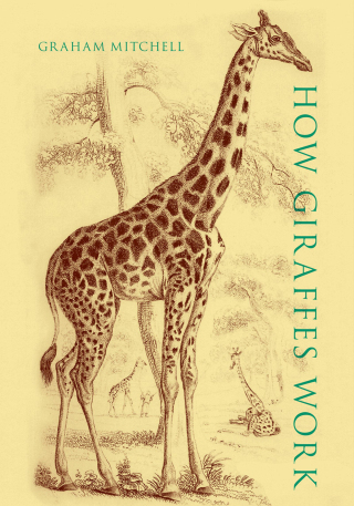 Cover image: How Giraffes Work 9780197571194