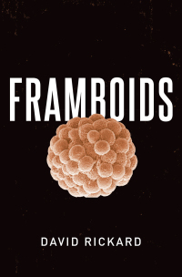 Cover image: Framboids 9780190080112