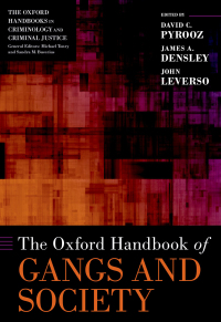 Imagen de portada: The Oxford Handbook of Gangs and Society 9780197618158