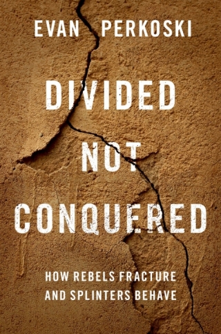 Imagen de portada: Divided Not Conquered 9780197627075