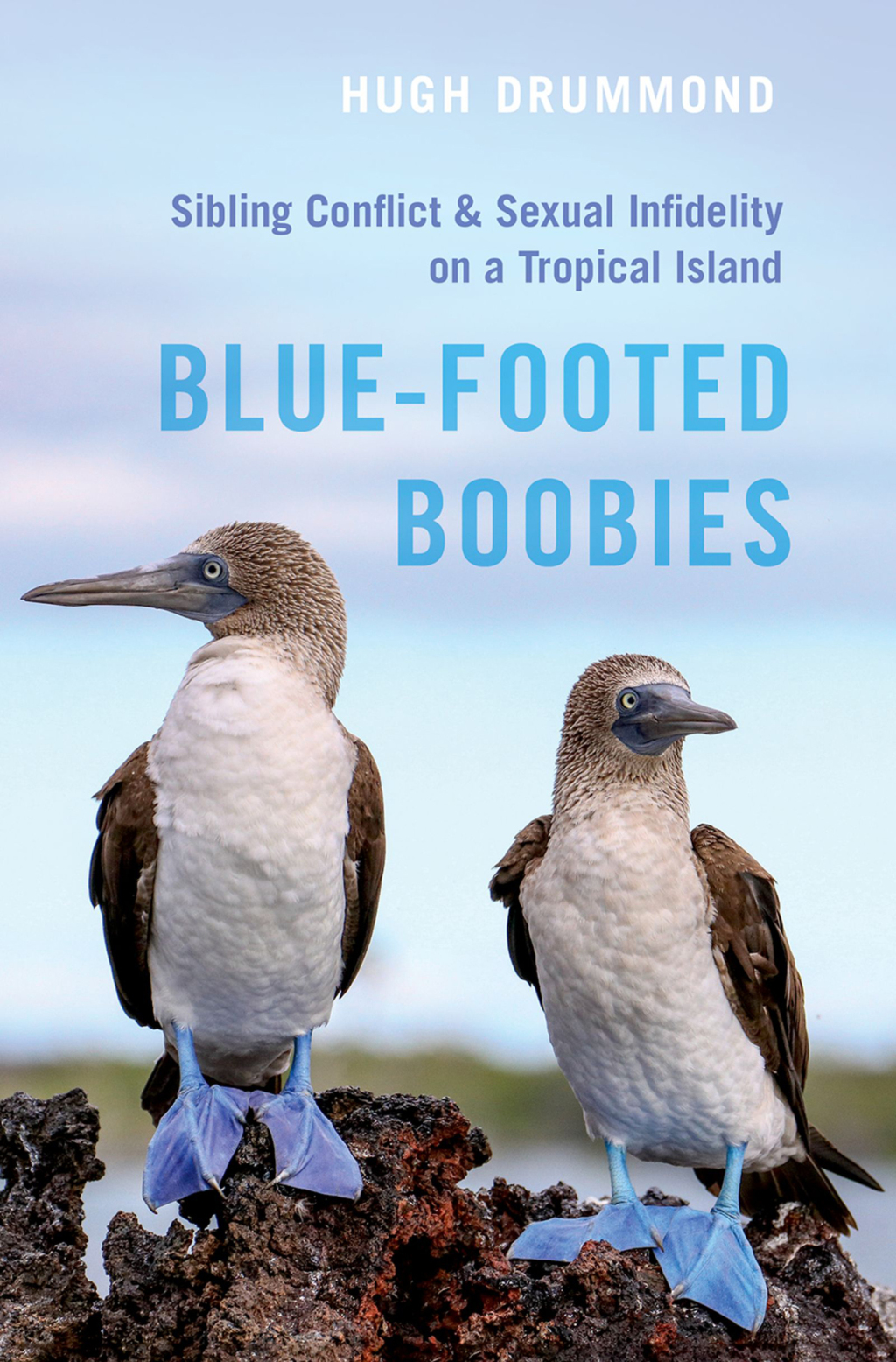 Blue-Footed Boobies Sibling Conflict And Sexual Infidelity On A Tropical Island 1st Edition