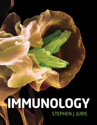 Titelbild: Immunology 9780190200312