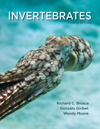 Cover image: Invertebrates 4th edition 9780197554418