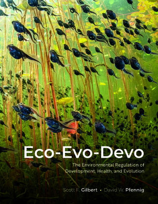 Imagen de portada: Eco-Evo-Devo 9780197664025