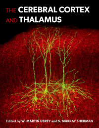 Cover image: The Cerebral Cortex and Thalamus 1st edition 9780197676158
