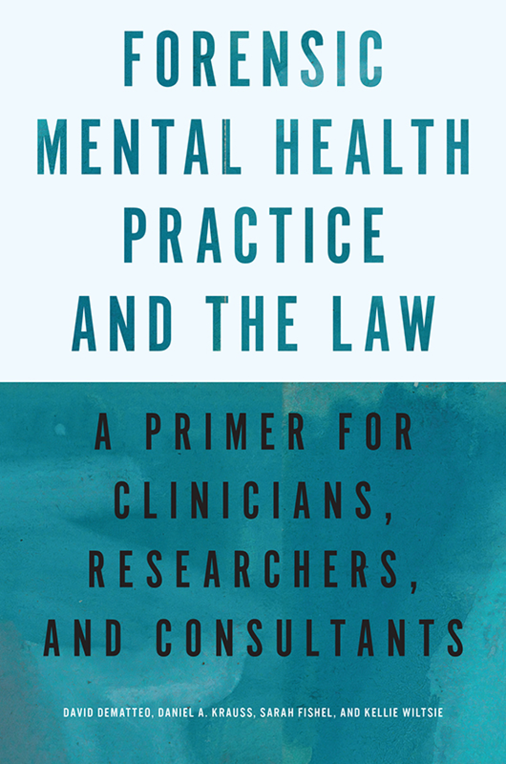 Forensic Mental Health Practice and the Law A Primer for Clinicians, Researchers, and Consultants 1st Edition